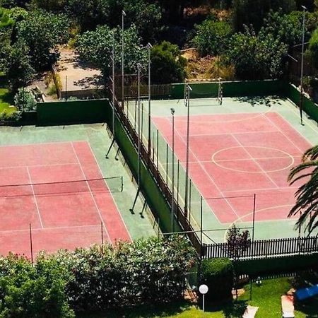 Verano Eterno En Mallorca - Alcudia! Zewnętrze zdjęcie